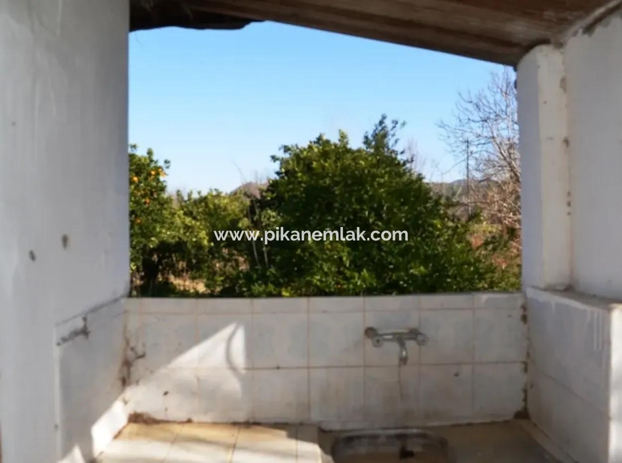 Village House For Sale In Orange Grove And Beyoba