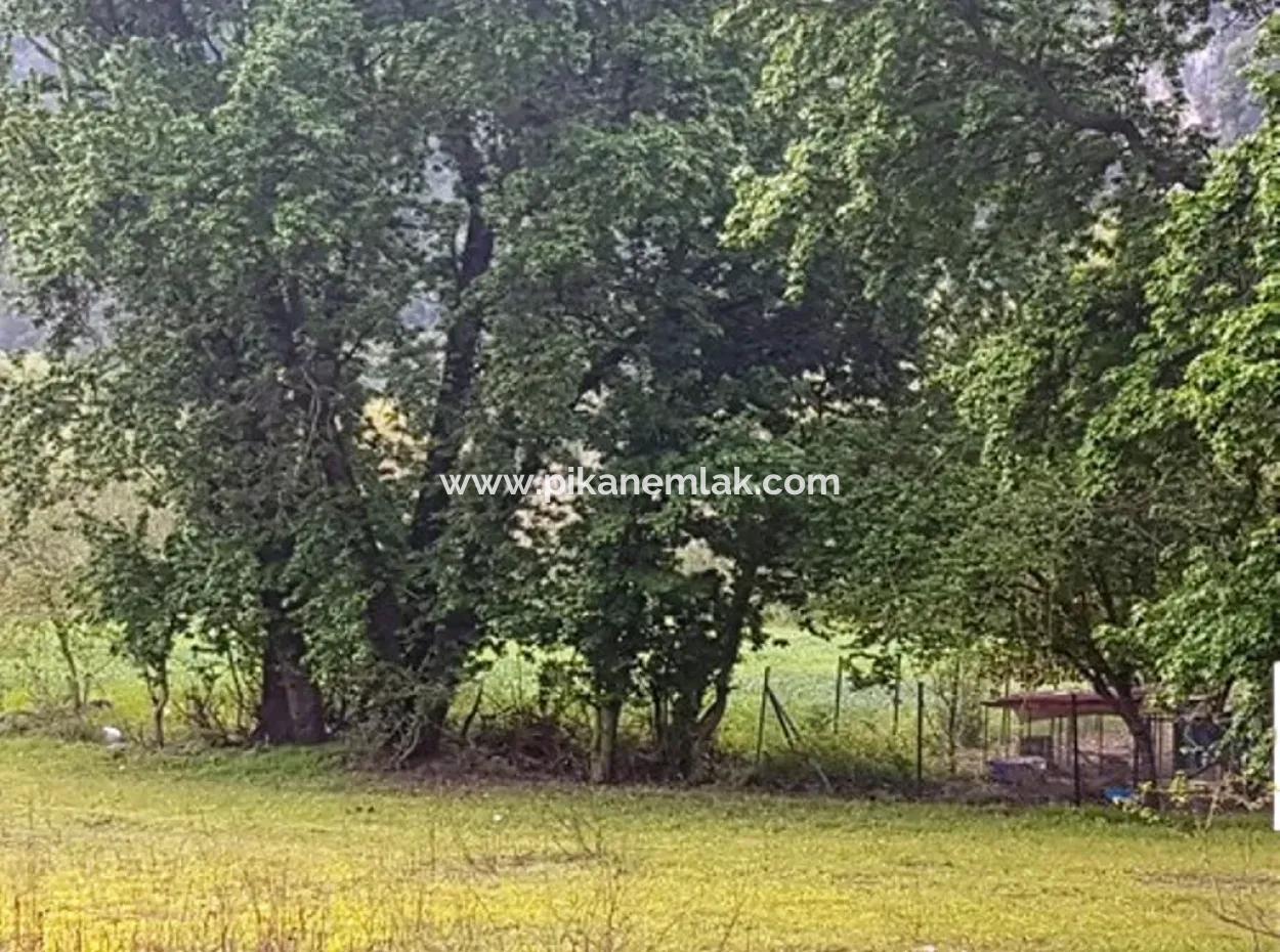 3 577 M2 Land Suitable For Zero Investment On Dalyan Main Road In Muğla Ortaca Okçular