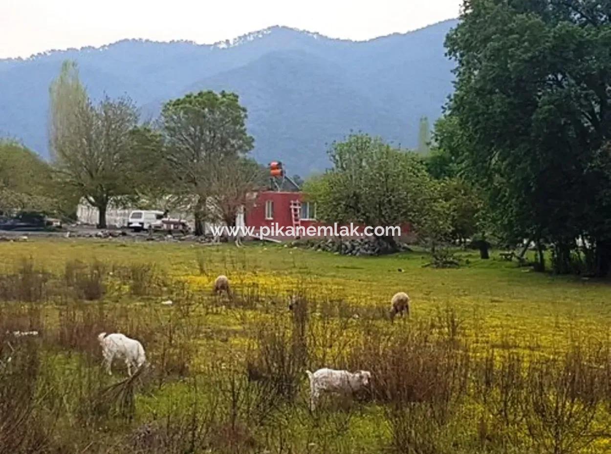 3 577 M2 Land Suitable For Zero Investment On Dalyan Main Road In Muğla Ortaca Okçular