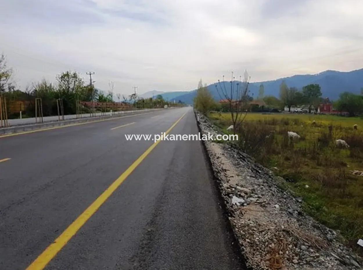 3 577 M2 Land Suitable For Zero Investment On Dalyan Main Road In Muğla Ortaca Okçular