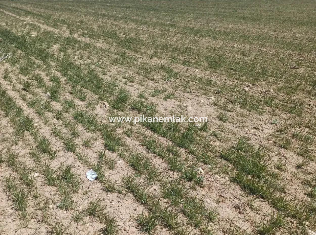 Konya Kadinhani Baskuyu 650.000 M2 Bargain Land For Sale