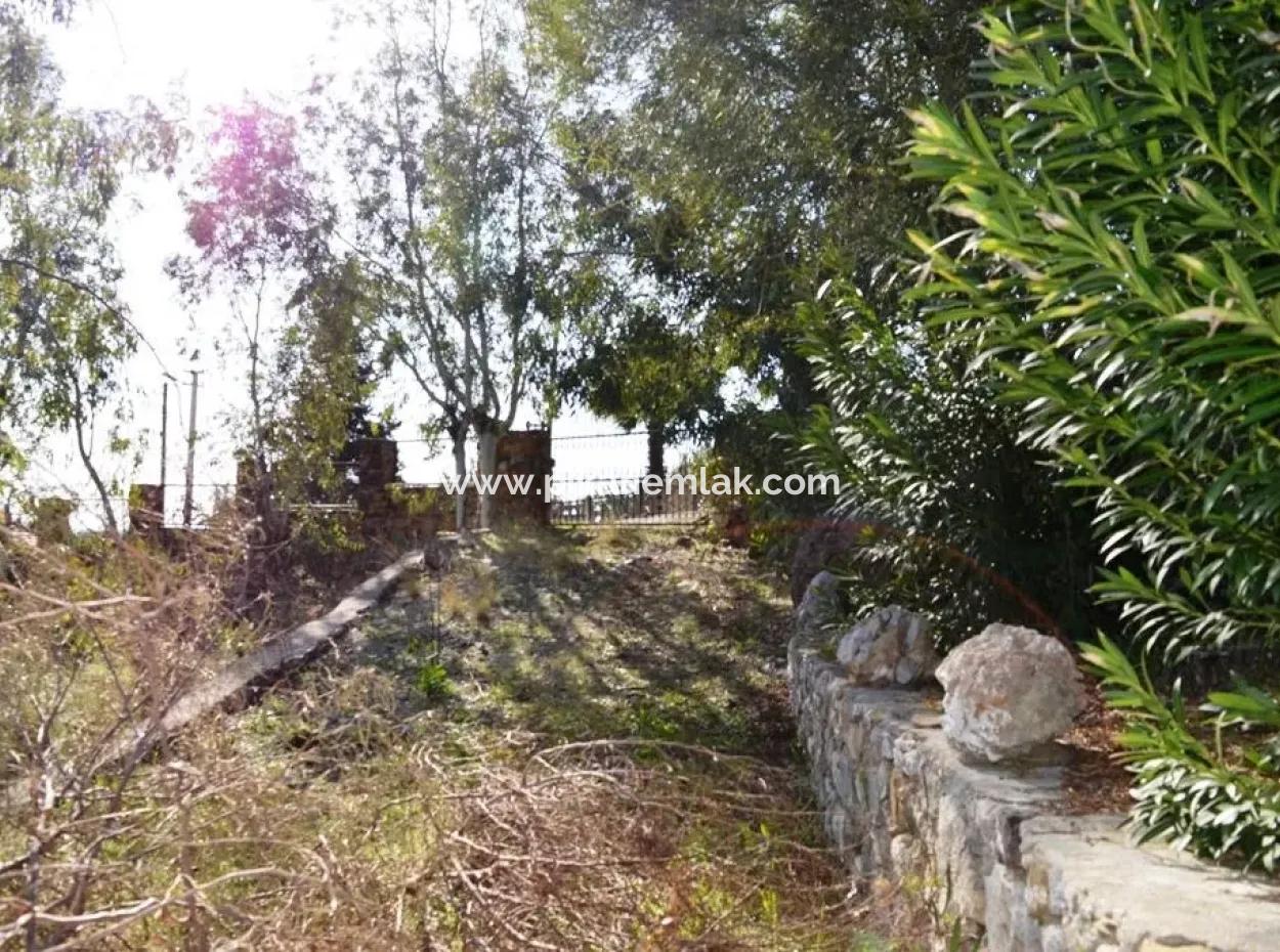 6 165 M2, 18 Villa Zoned Land Suitable For Mass Housing In Dalaman Will Be Given In Return For Floors