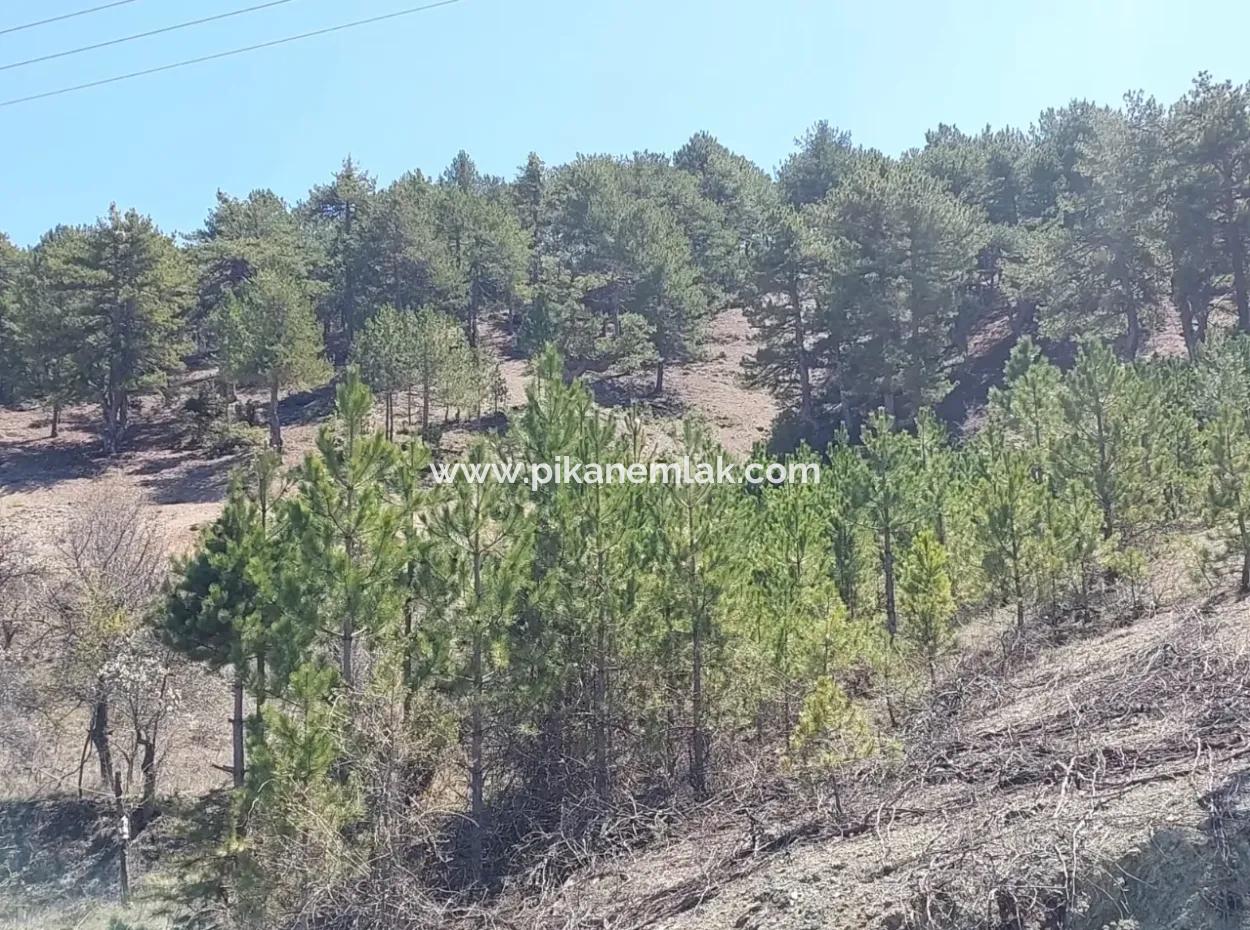 Bargain Land For Sale In Çameli Gökçeyaka 1 844 M2 Detached Land For Sale.