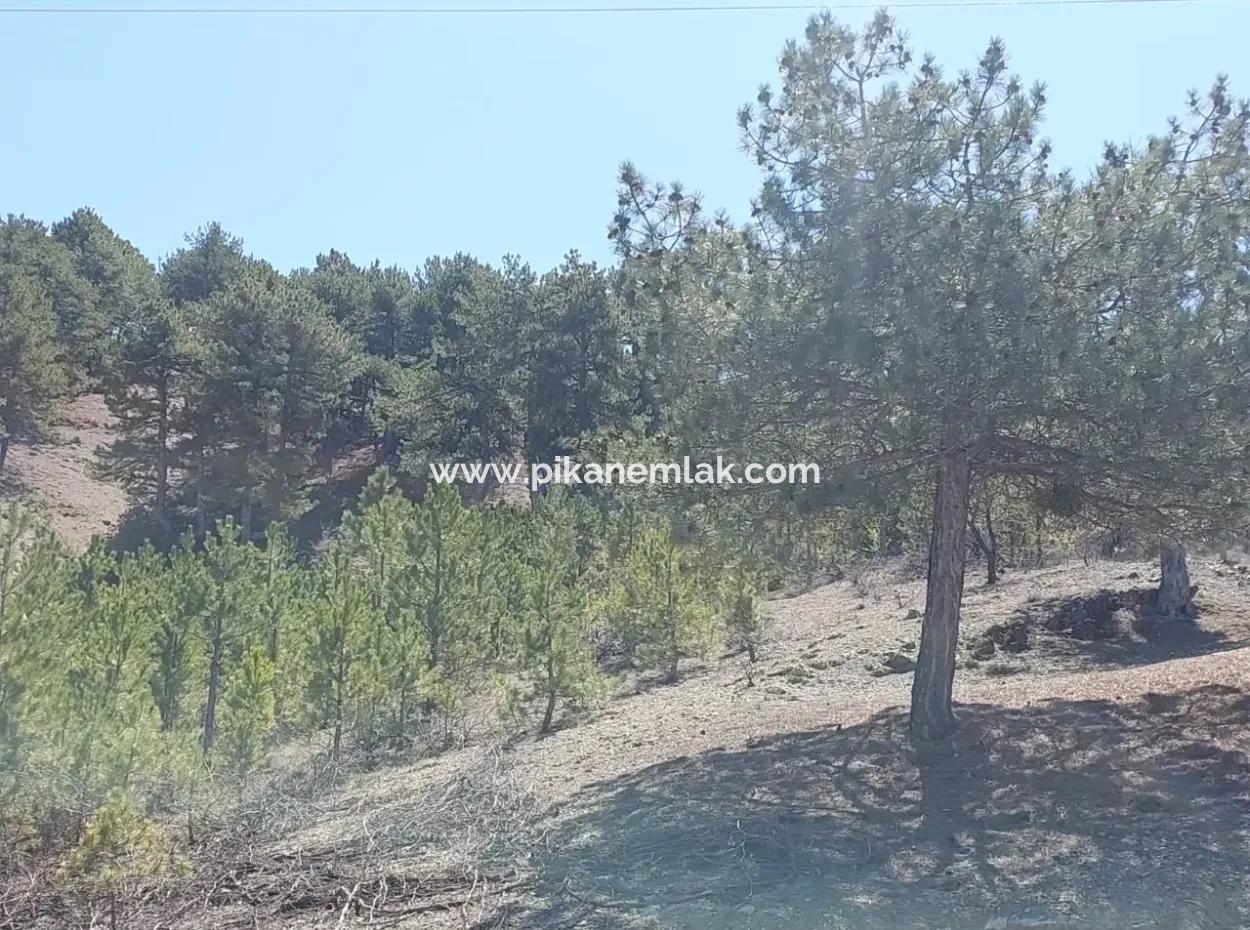 Bargain Land For Sale In Çameli Gökçeyaka 1 844 M2 Detached Land For Sale.