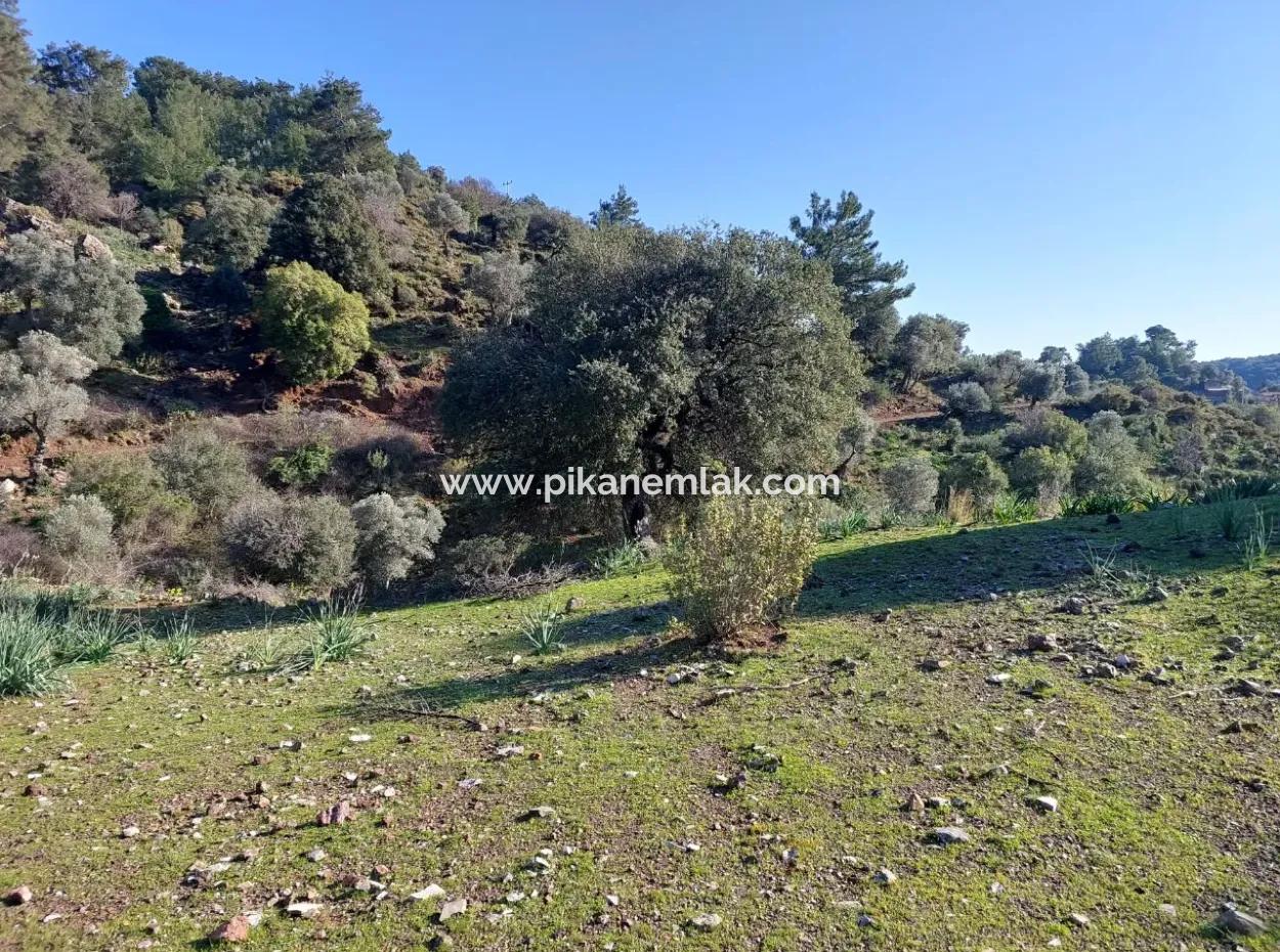 5.216 M2, 2B Land For Sale In Ortaca Gökbelde With Detached Title Deed Sea View