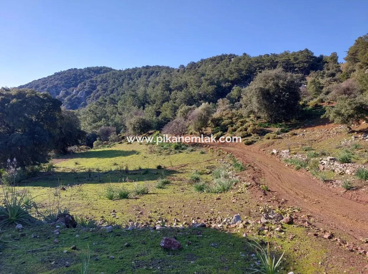 5.216 M2, 2B Land For Sale In Ortaca Gökbelde With Detached Title Deed Sea View