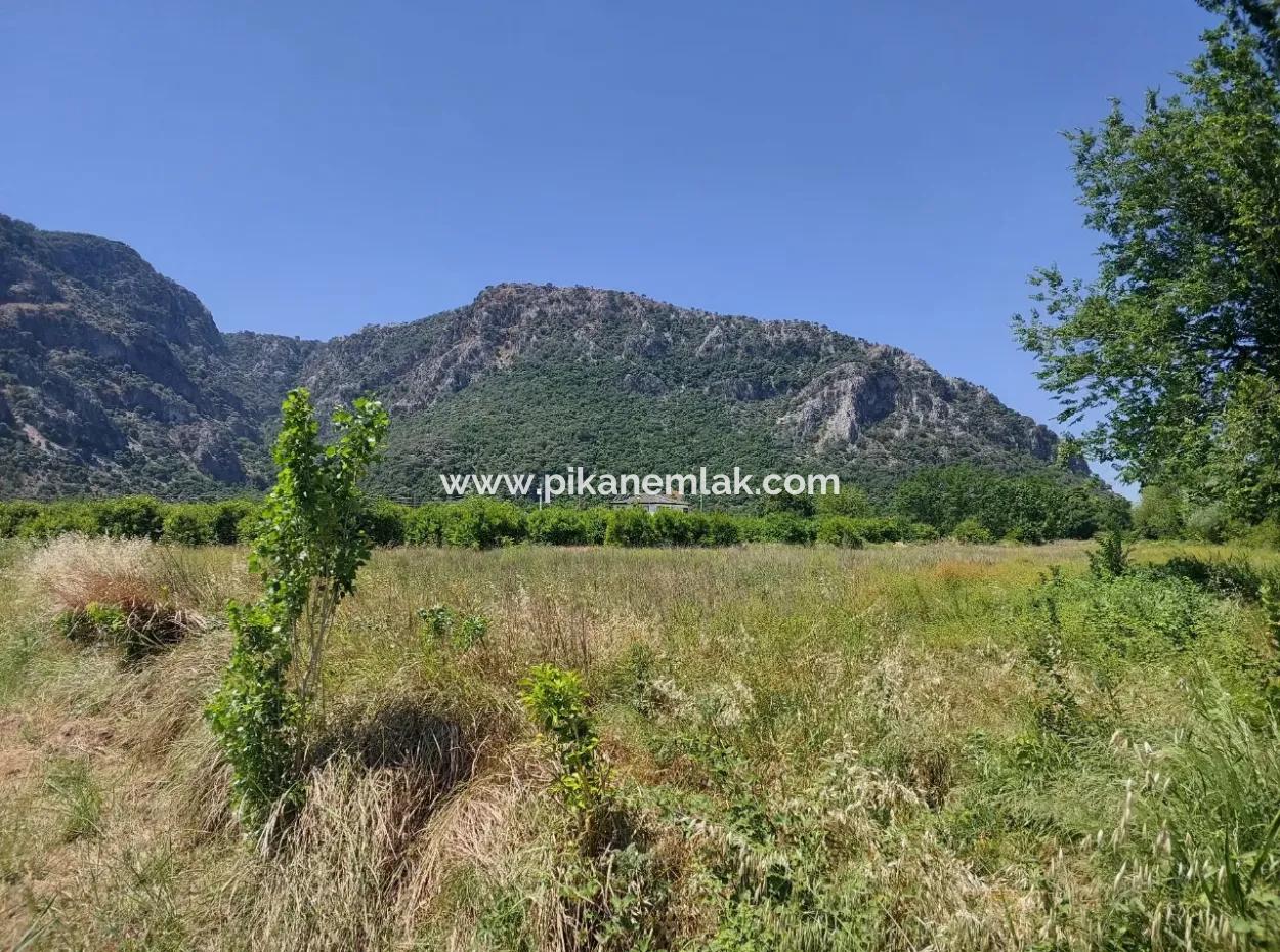 Land For Sale In Muğla Marmarlı In 5 800 M2 Zoning Plan Suitable For Investment