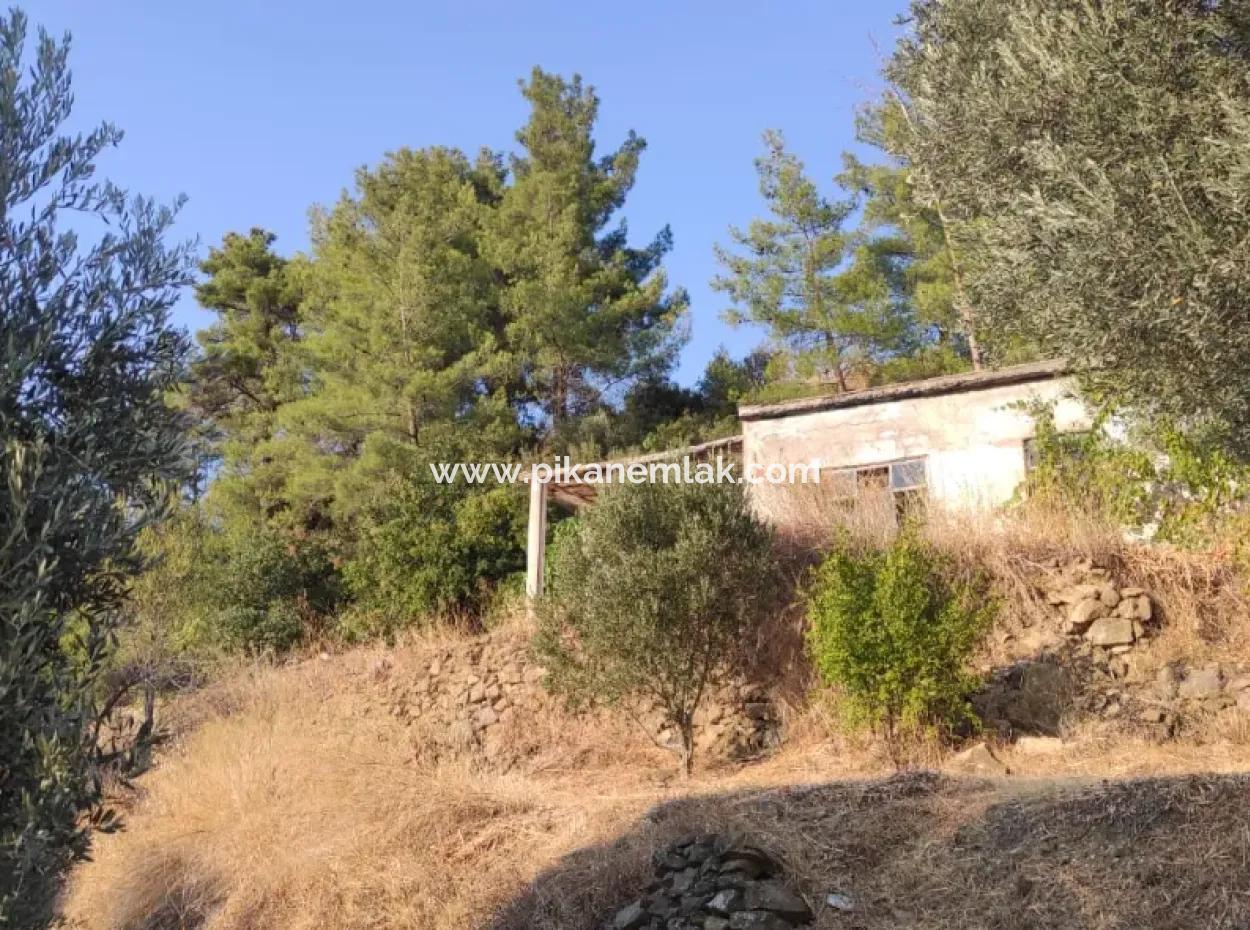 Muğla, Dalaman, Elcik 1 100 M2, Detached Land, 60 M2 Village House For Sale
