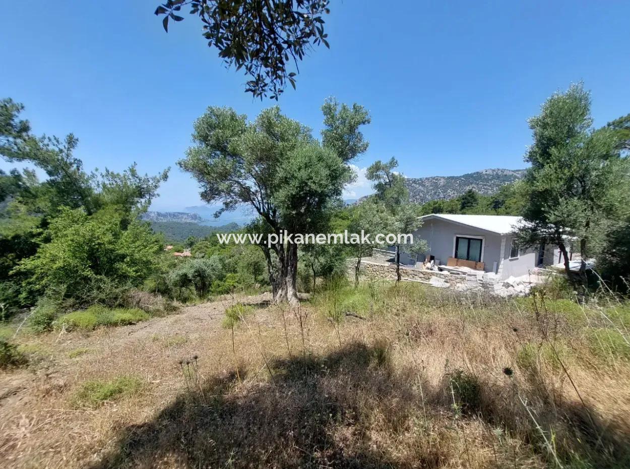 1.000 M² Investment Land With Lake And Sea View For Sale In Muğla Ortaca Gökbel