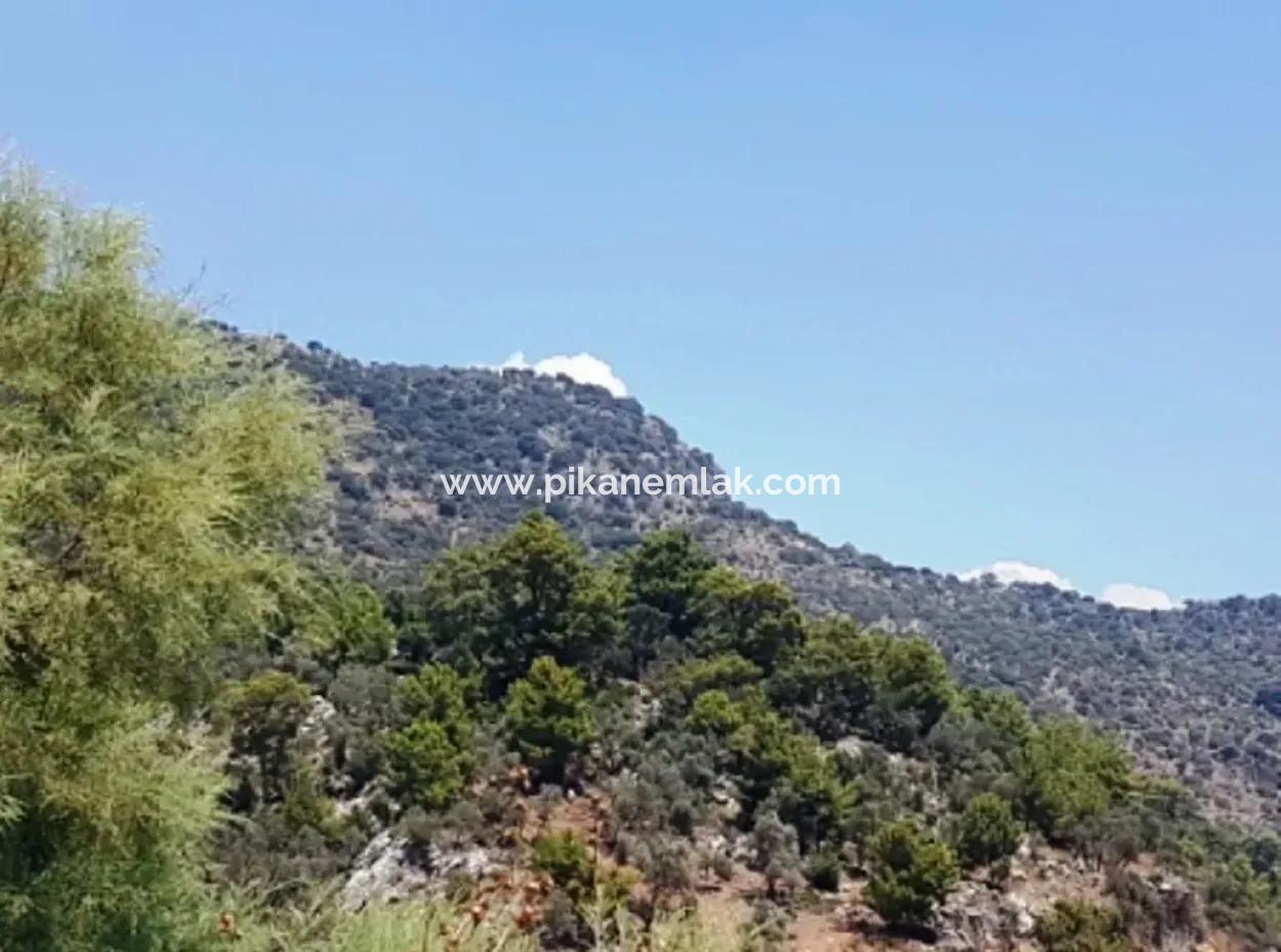 74,000 M2 Sea View Land For Sale In Dalaman Kapıkargın