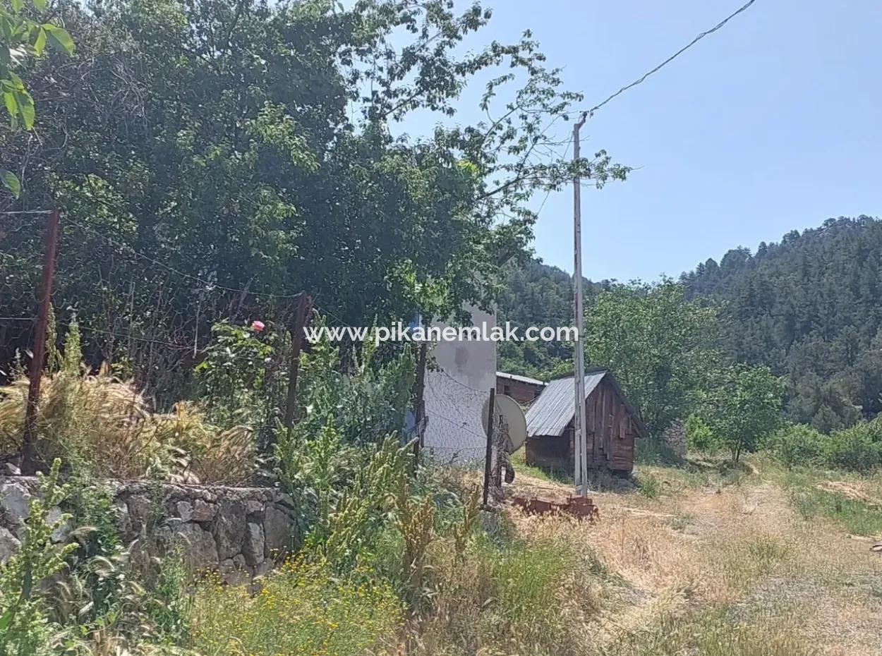 2500 M2 Detached 2 Houses And Barns, Warehouse For Sale In Çameli Kızılyaka