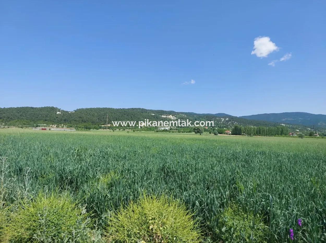 Bargain Land For Sale In Çameli Bıçakçı – 5.333 M² Detached Title Deed