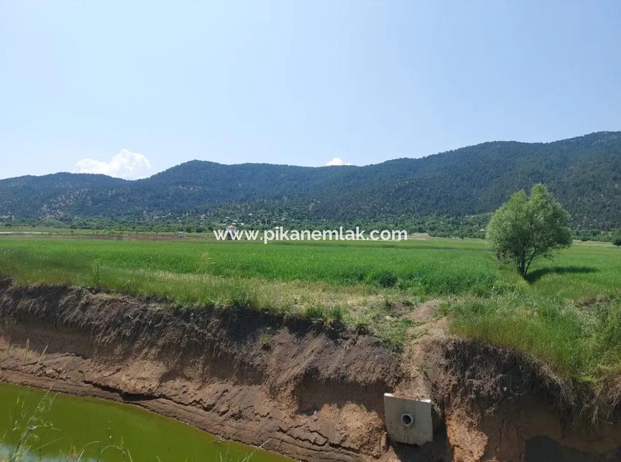 Bargain Land For Sale In Çameli Bıçakçı – 5.333 M² Detached Title Deed
