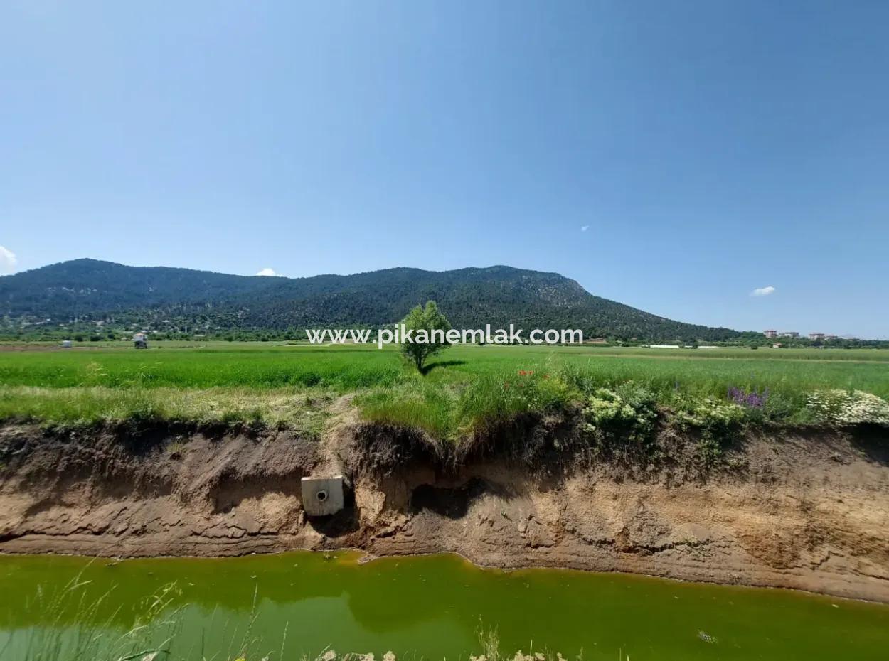 Bargain Land For Sale In Çameli Bıçakçı – 5.333 M² Detached Title Deed