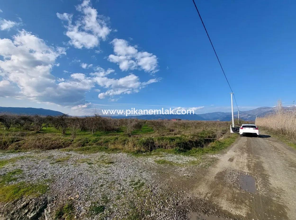 24.800 M2 Investment And Pomegranate Garden Suitable For Agricultural Loan For Sale In Ortaca Tepearası