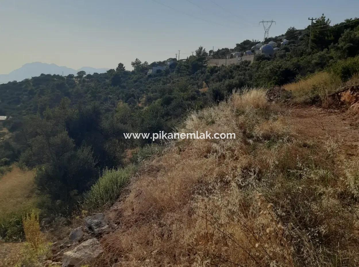 12 300 M2 Land Suitable For Investment For Sale In Antalya Kaş Kalkan Islam