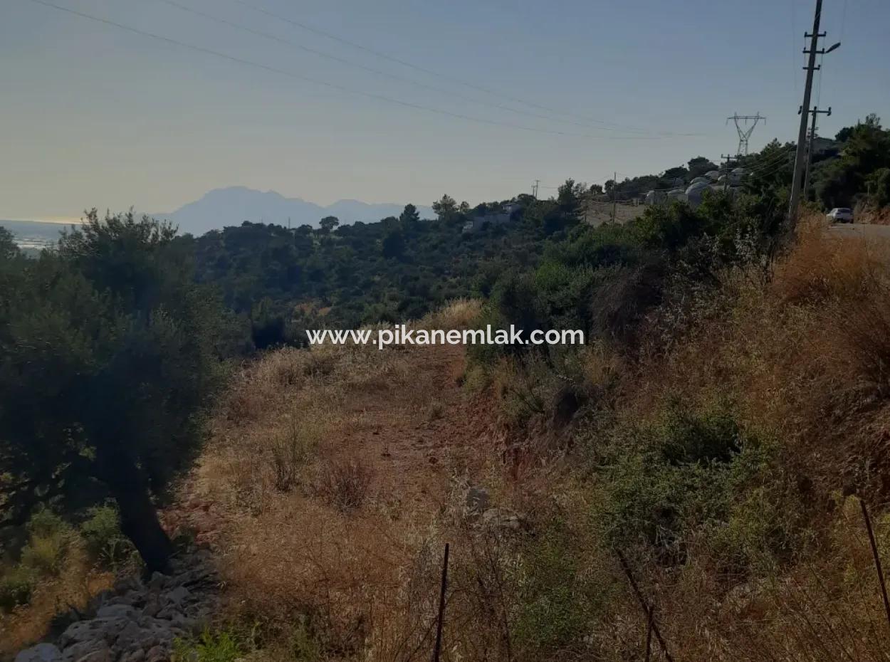 12 300 M2 Land Suitable For Investment For Sale In Antalya Kaş Kalkan Islam