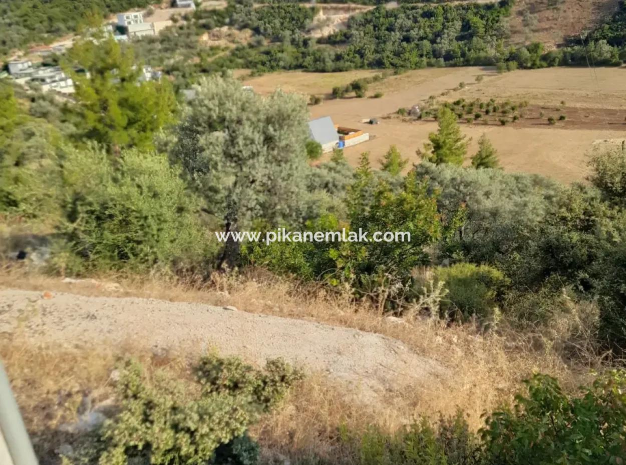 12 300 M2 Land Suitable For Investment For Sale In Antalya Kaş Kalkan Islam