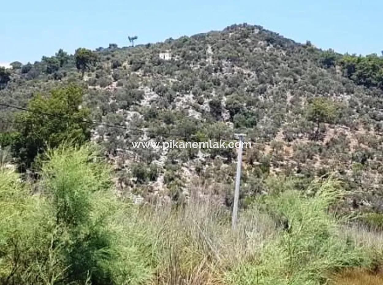 74,000 M2 Sea View Land For Sale In Dalaman Kapıkargın