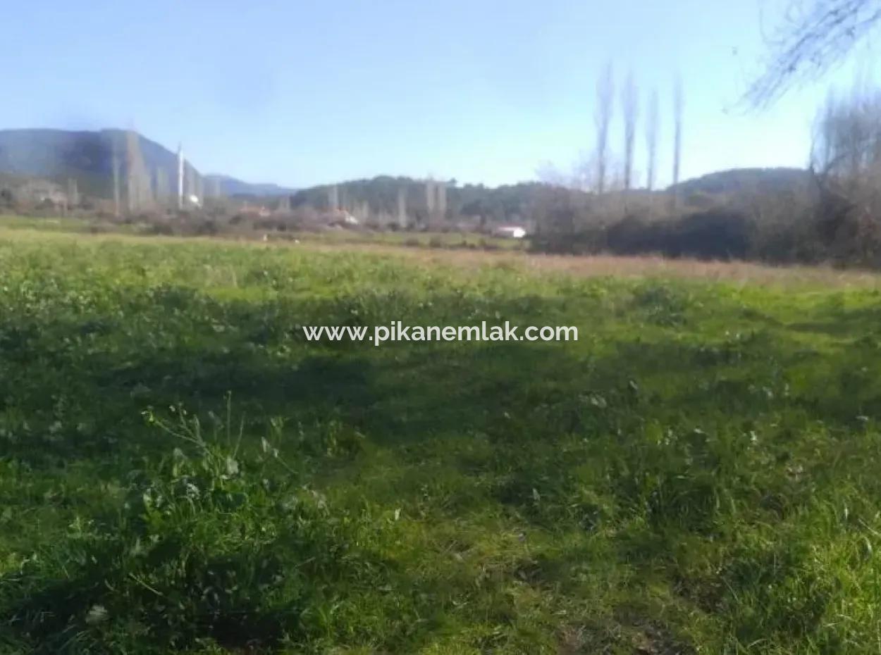 Land For Sale In Bargain Detached Zeytinalani