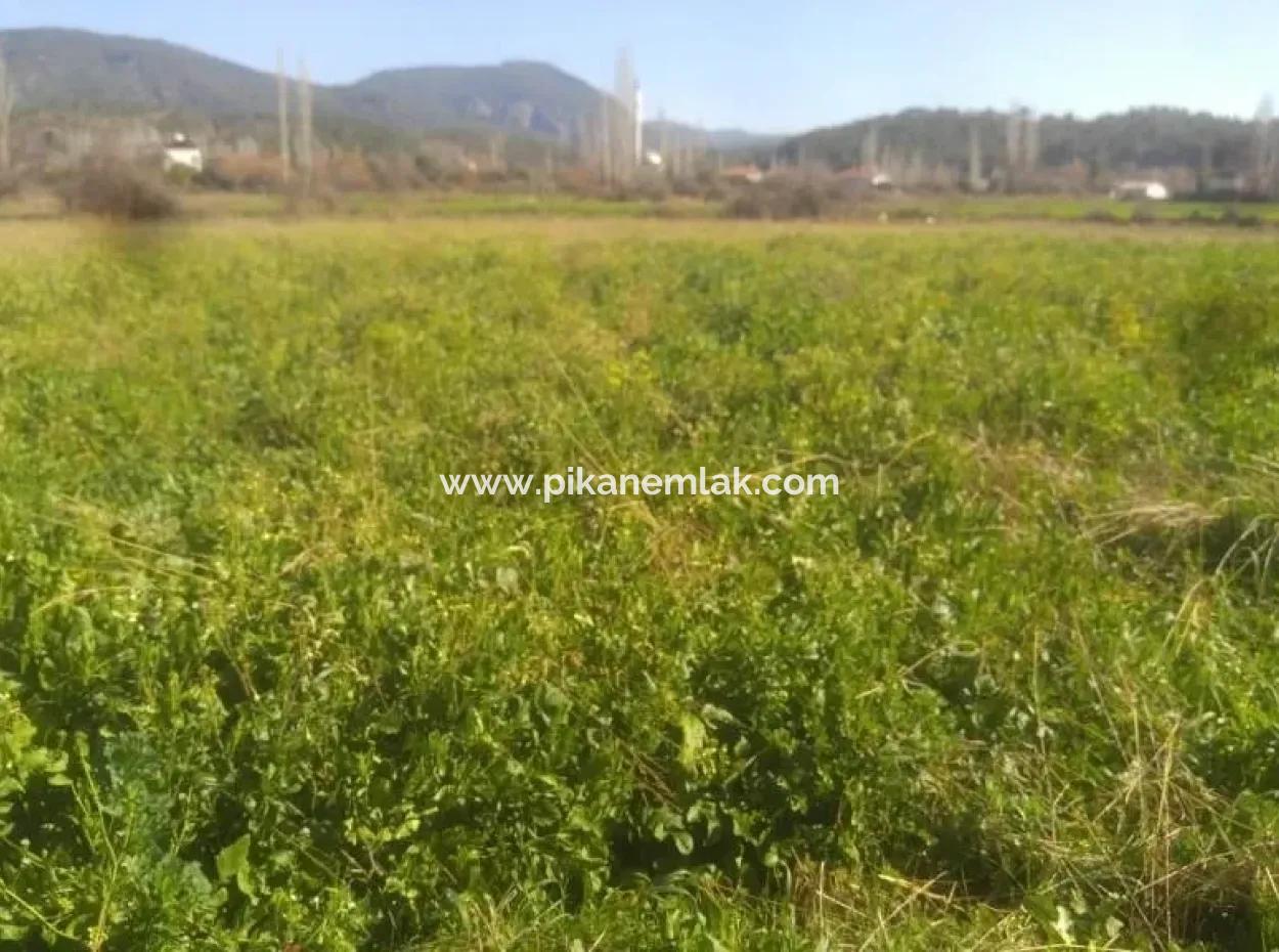 Land For Sale In Bargain Detached Zeytinalani