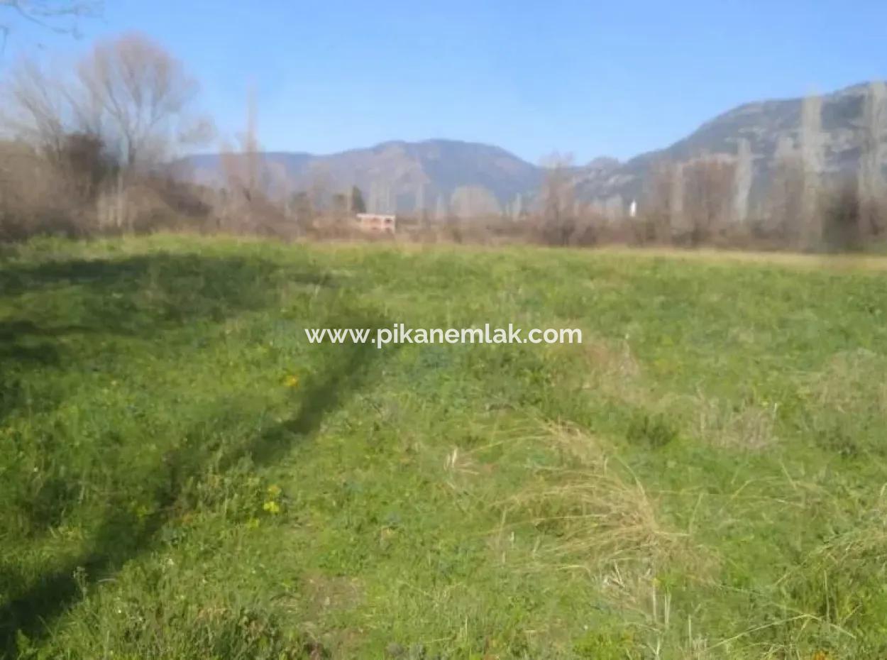 Land For Sale In Bargain Detached Zeytinalani