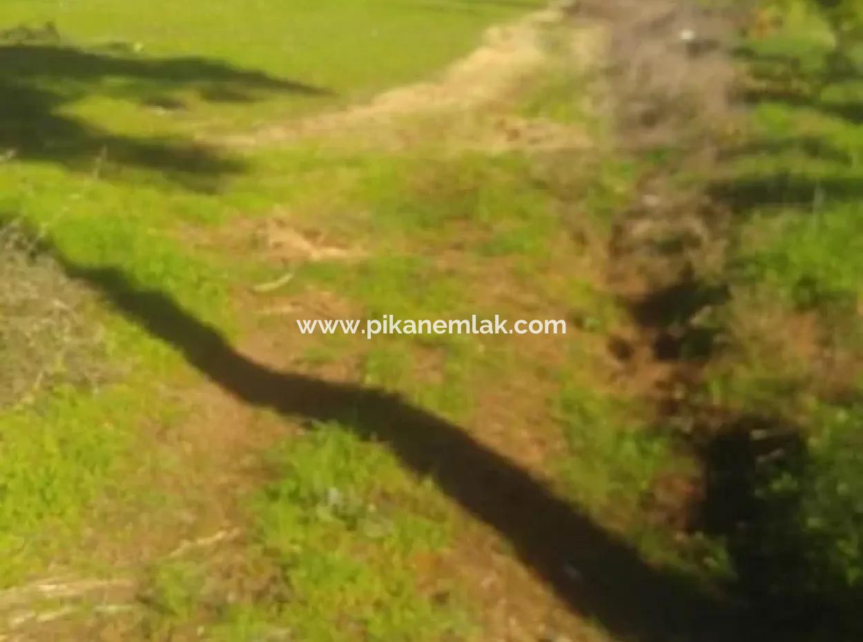 Land For Sale In Bargain Detached Zeytinalani