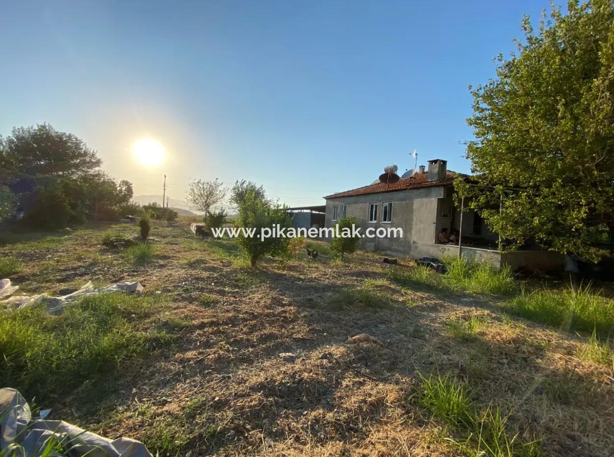 Detached House And Greenhouse For Sale In 5200 M2 Field In Ortaca Eskiköy
