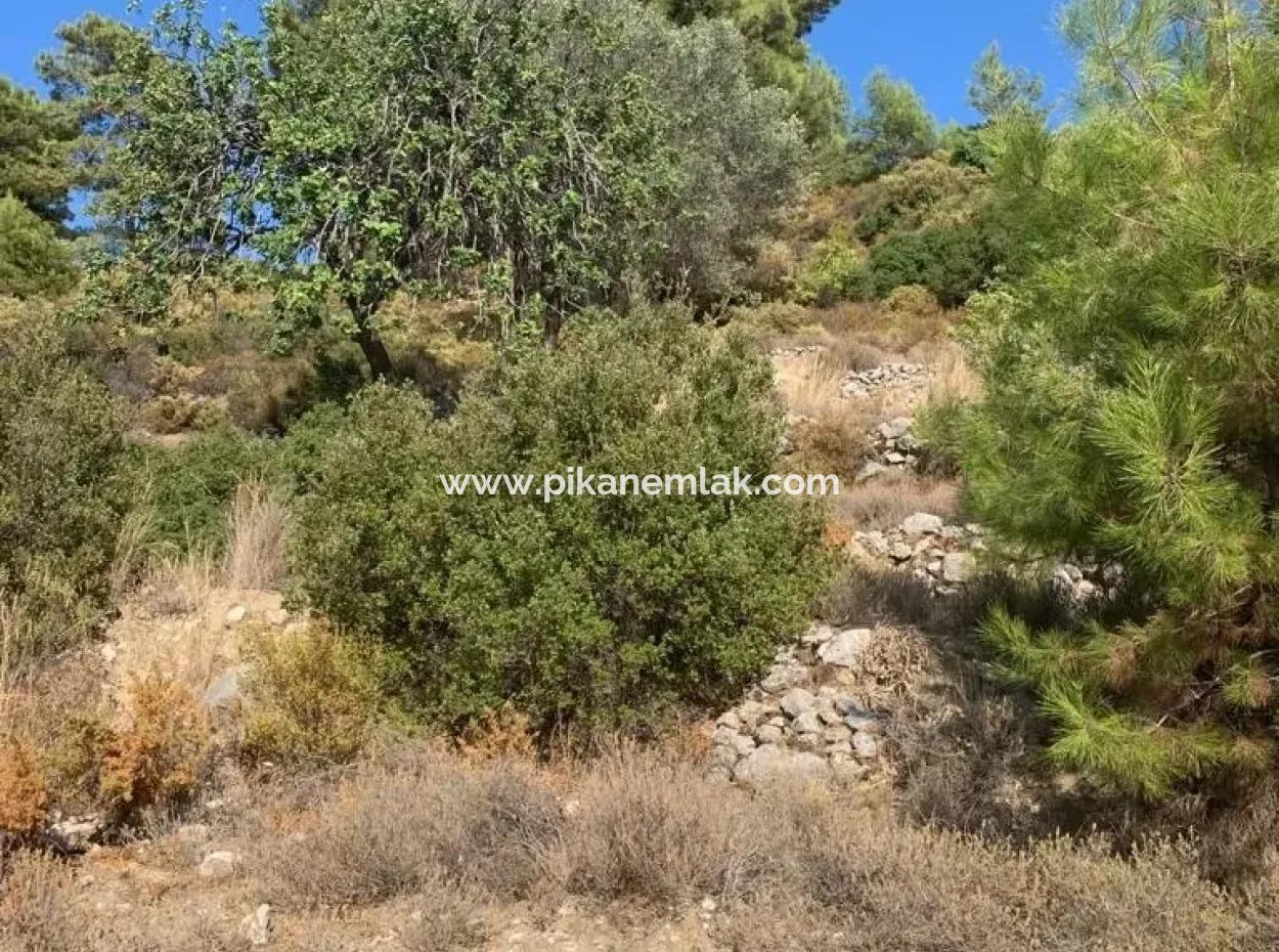 Tourism Zoned Land For Sale In Fethiye With Sea View Faralya