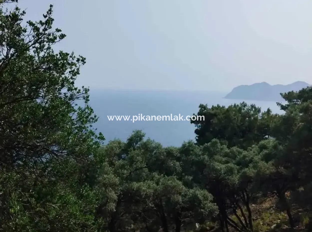 20.000 M² Sea View 2B Land Usage Right In Muğla Köyceğiz Çandır