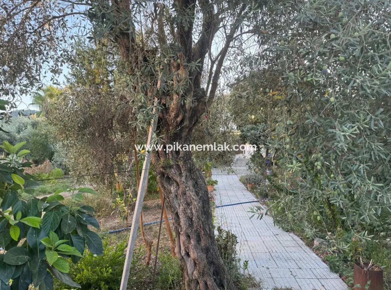 Muğla, Ortaca, Okçularda Good Location 650 M2 Residential Zoned Land For Sale