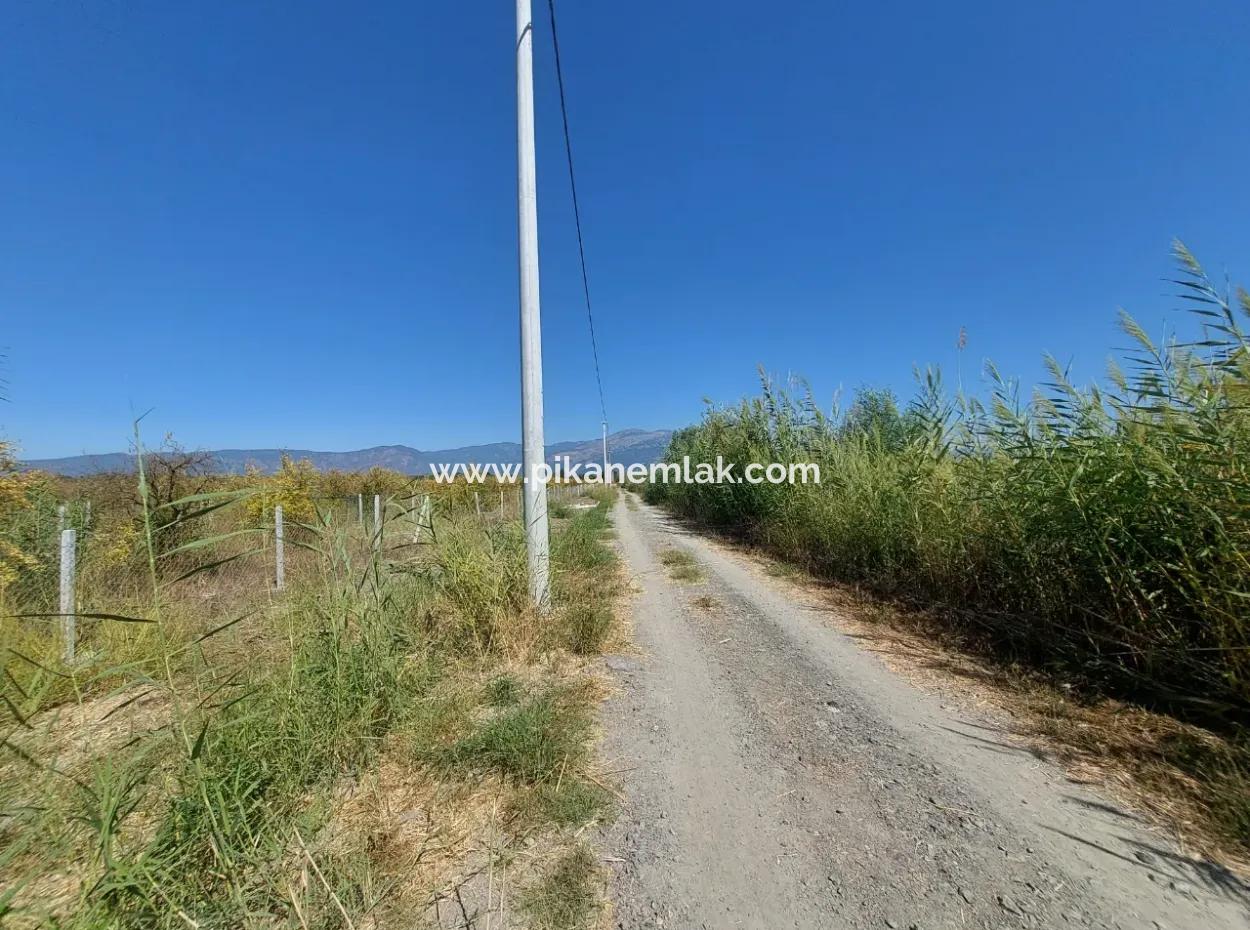 8126 M2 Investment And Pomegranate Orchard Suitable For Zirayi Loan Is For Sale In Ortaca Tepe