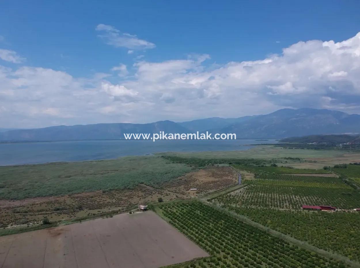 Tepearasi Oriya Bargain Between 13 700 M2 Land For Sale