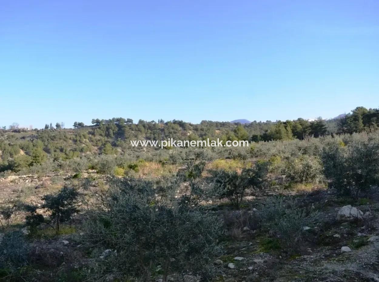 Valuable Waterfront Land For Sale In Tlos Fethiye Collar