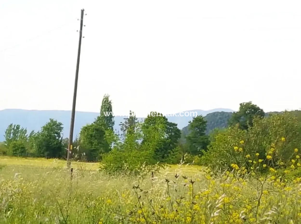 Corner Plot For Sale In Archer