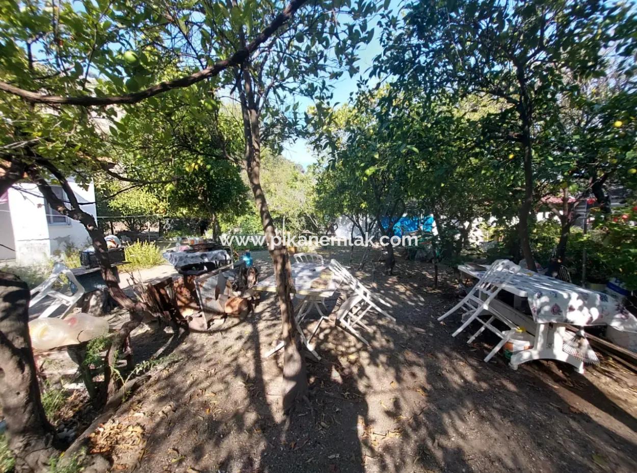 Köyceğiz Çandır Dalyan Canal Zero 865 M2 House And Restaurant For Sale