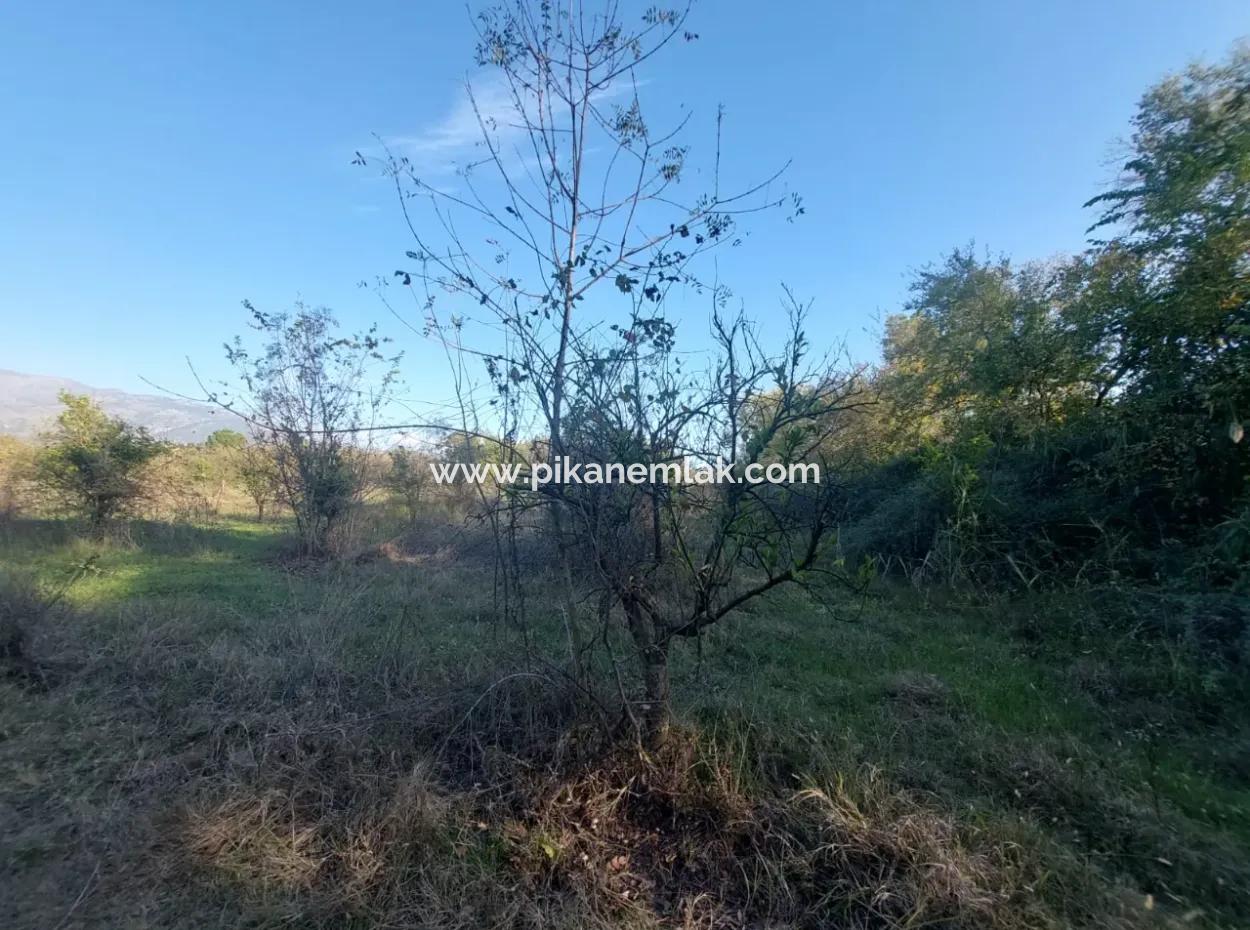 9 600 M2 Land Close To The Lake In Köyceğiz Toparlar Is For Sale