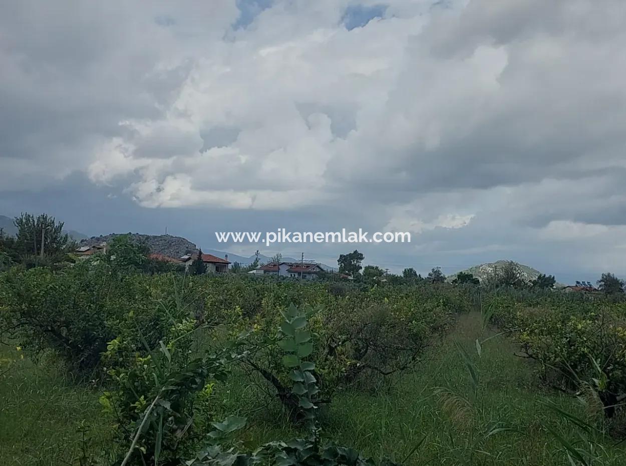 5.000 M2 Land With 150 M2 Construction Right Is For Sale In Muğla Dalyan