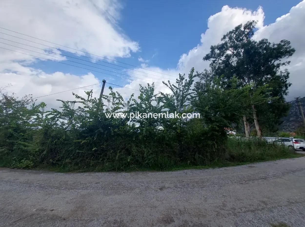 5.000 M2 Land With 150 M2 Construction Right Is For Sale In Muğla Dalyan