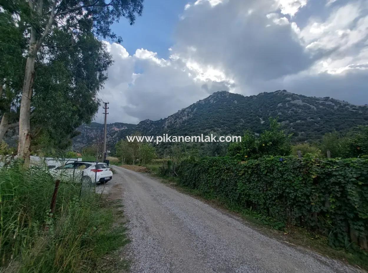 5.000 M2 Land With 150 M2 Construction Right Is For Sale In Muğla Dalyan