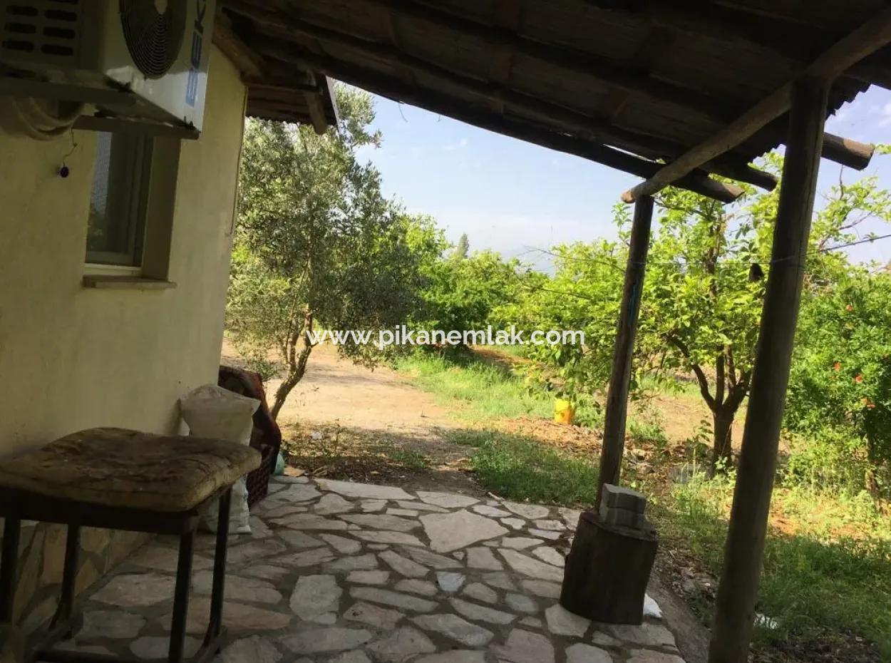 Muğla Ortaca Okçularda Unfurnished For Rent 2 1 Garden Village House