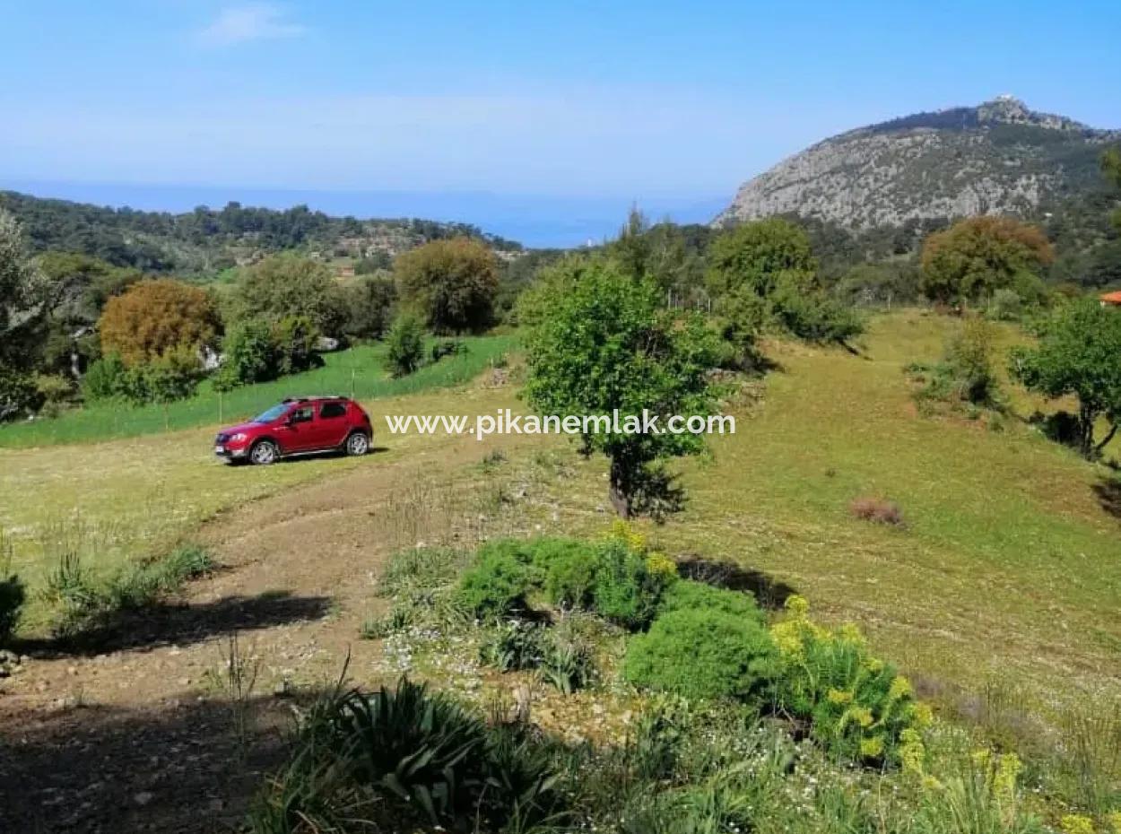 Muğla Ortaca Gökbelde 3200 M2 Shared Land For Sale