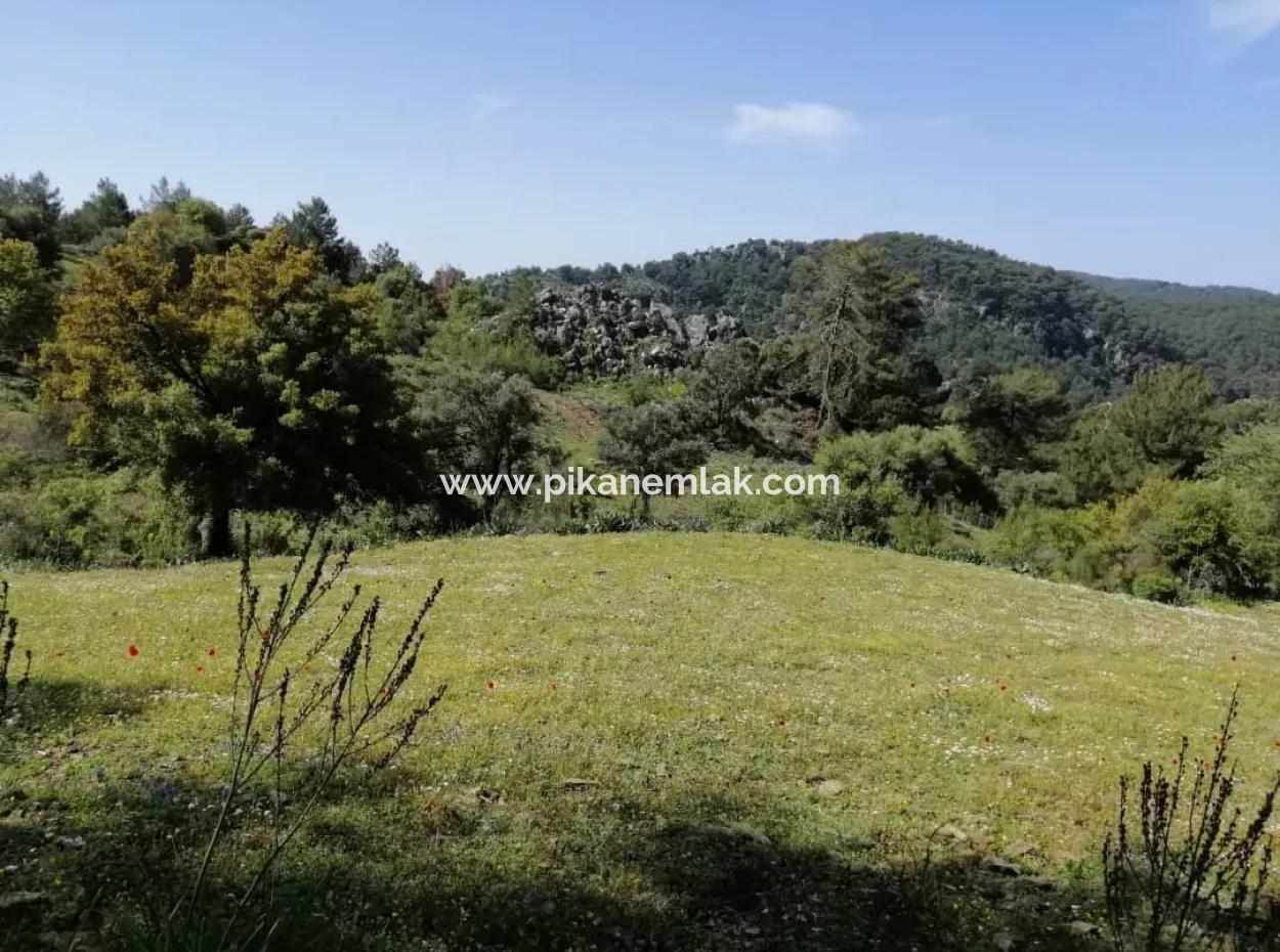 Muğla Ortaca Gökbelde 3200 M2 Shared Land For Sale