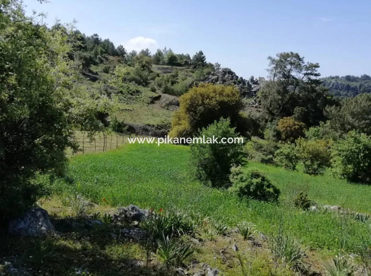 Muğla Ortaca Gökbelde 3200 M2 Shared Land For Sale