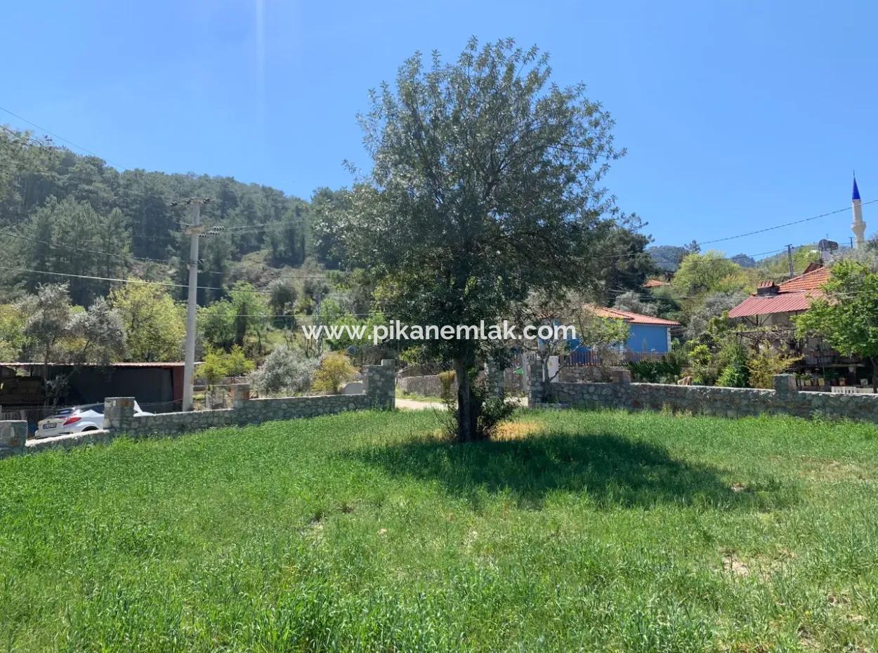 Dalyan Gökbelde 678 M2 Share For Sale