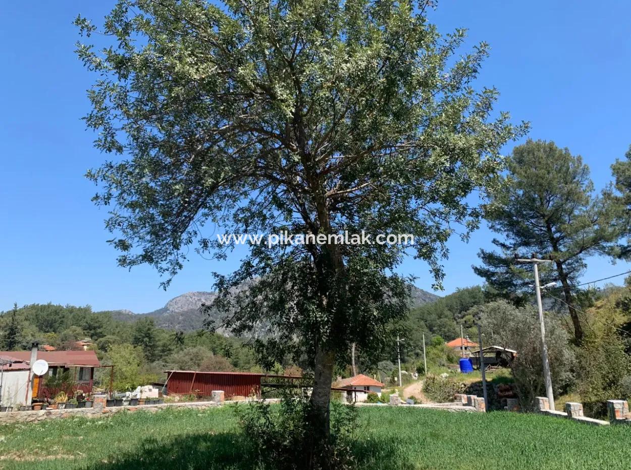 Dalyan Gökbelde 678 M2 Share For Sale