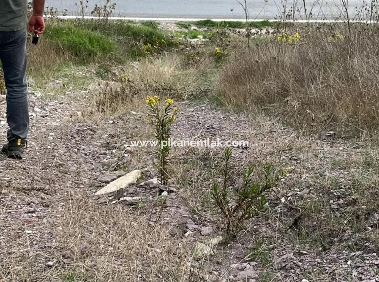 1.025 M2 Qualified Olive Grove Land In Muğla Milas Çakıralan Is For Sale