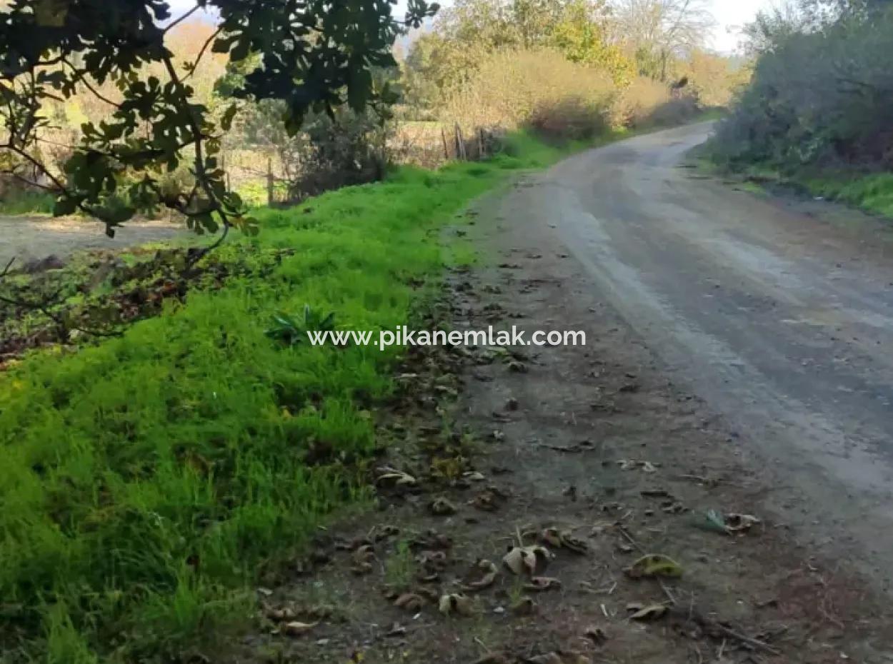 Bargain 6 000 M2 Land For Sale In Muğla Ula Karabörtlende