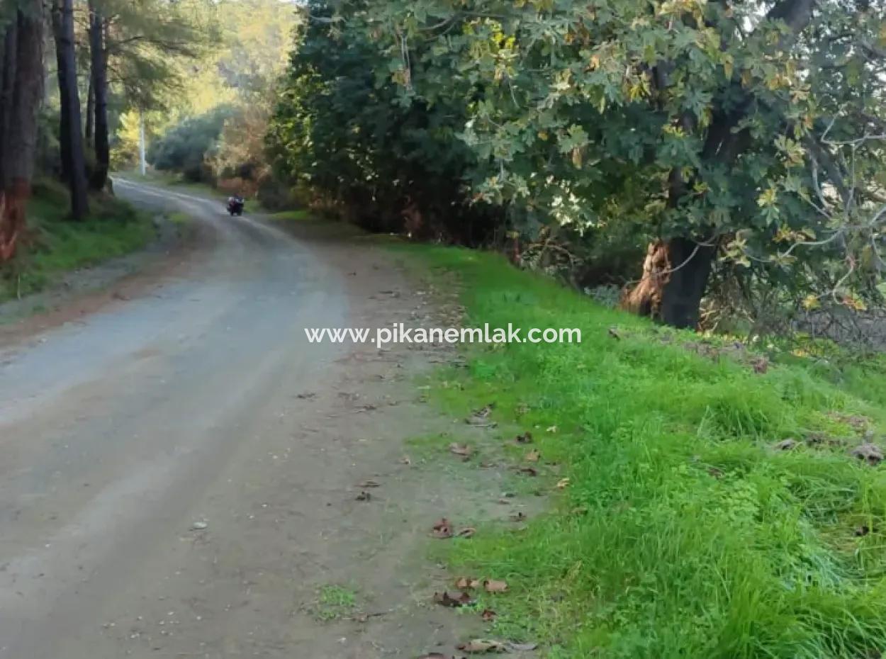 Bargain 6 000 M2 Land For Sale In Muğla Ula Karabörtlende