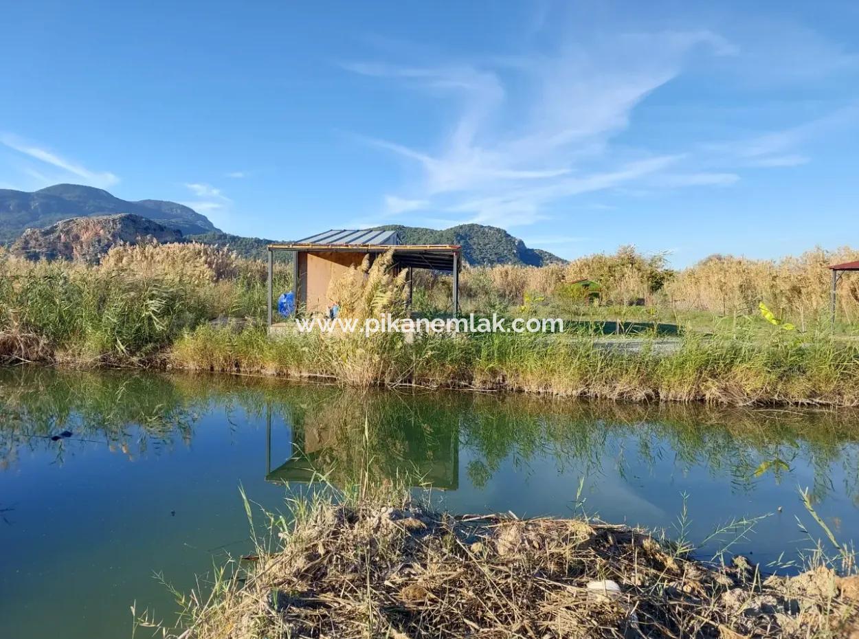 Container With Boat Mooring Place By The Canal In Muğla Ortaca Dalyan – For Sale